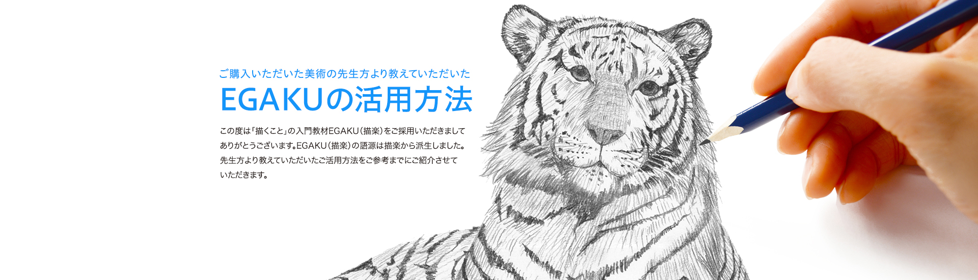 FGAKUの活用方法